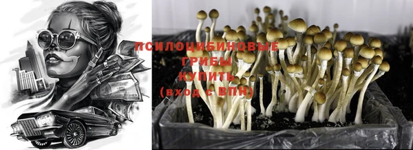 стафф Ханты-Мансийск