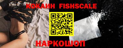 гашик Кунгур
