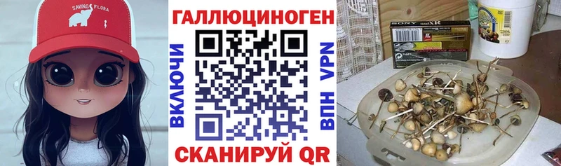 Галлюциногенные грибы прущие грибы  Комсомольск-на-Амуре 