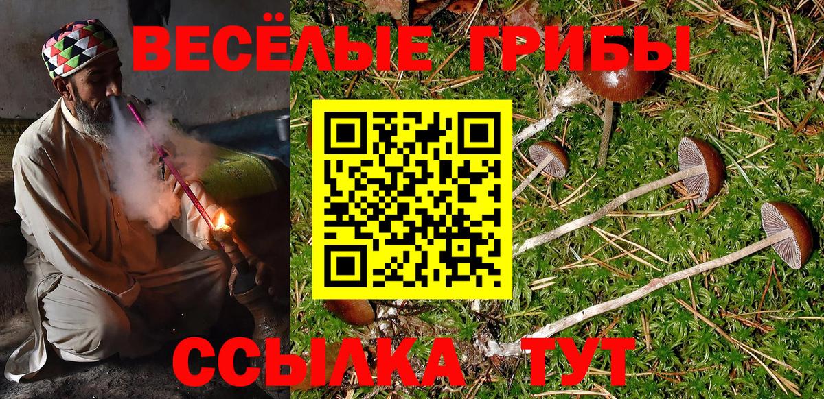 Комсомольск-на-Амуре  Галлюциногенные грибы прущие грибы  Вход с VPN 